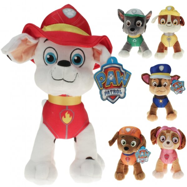 Paw Patrol  sortiert